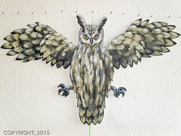 <SAMSUNG DIGITAL CAMERA>