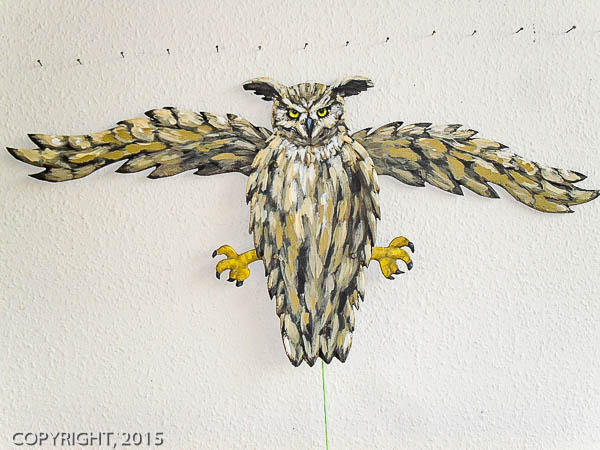 <SAMSUNG DIGITAL CAMERA>